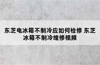 东芝电冰箱不制冷应如何检修 东芝冰箱不制冷维修视频